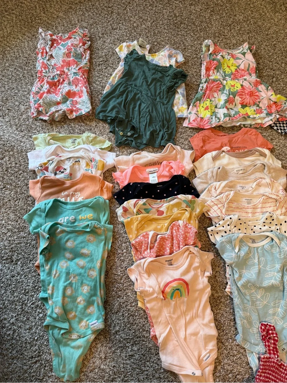 Carter's Multi-Color Baby Girls Mixed Rompers & Onesies